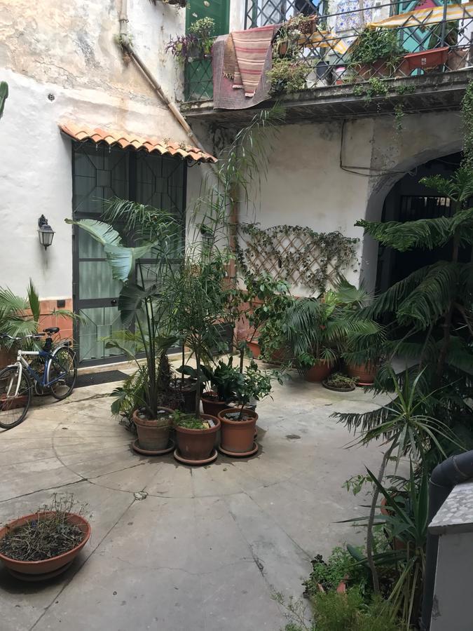 Sunflower Garden Palermo Luaran gambar